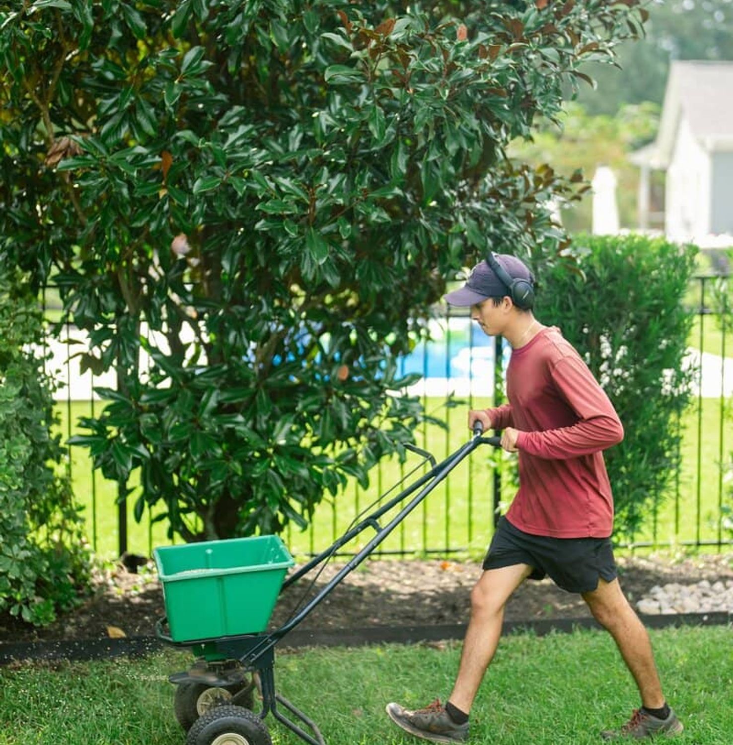 Landscaper using fertilizer spreader on residential lawn