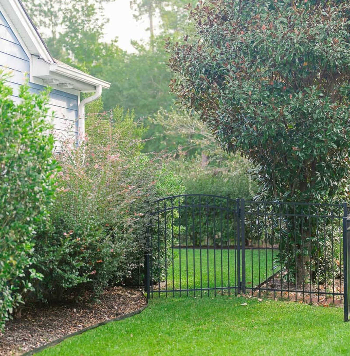 Elegant garden entrance with metal gate and professional landscaping